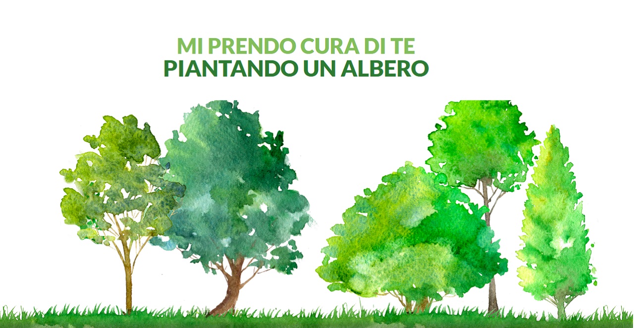 KilometroVerdeParma, Riccoboni si unisce al progetto per creare nuovi boschi perenni