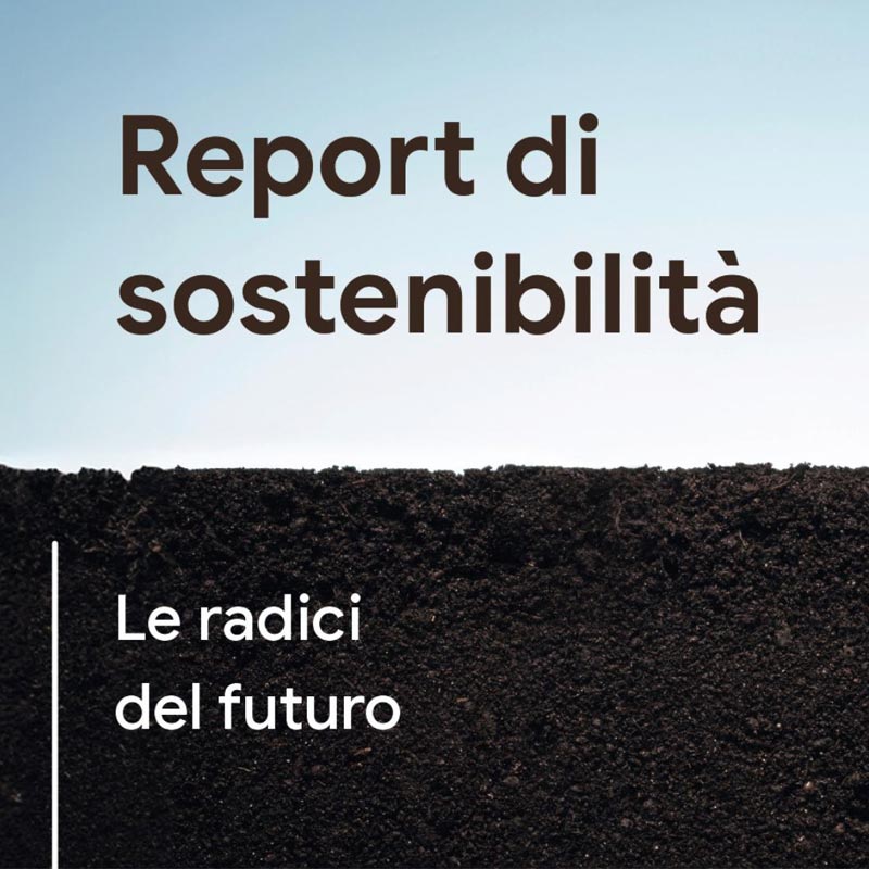 REPORT DI SOSTENIBILITÀ 2023